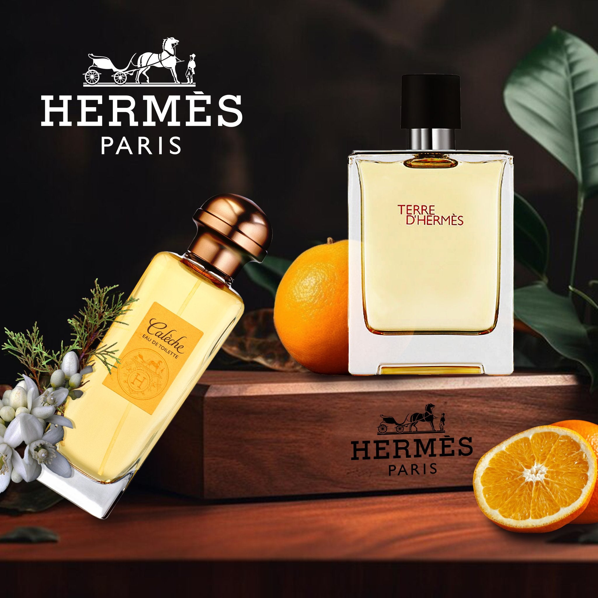 Hermes fragrance Banner