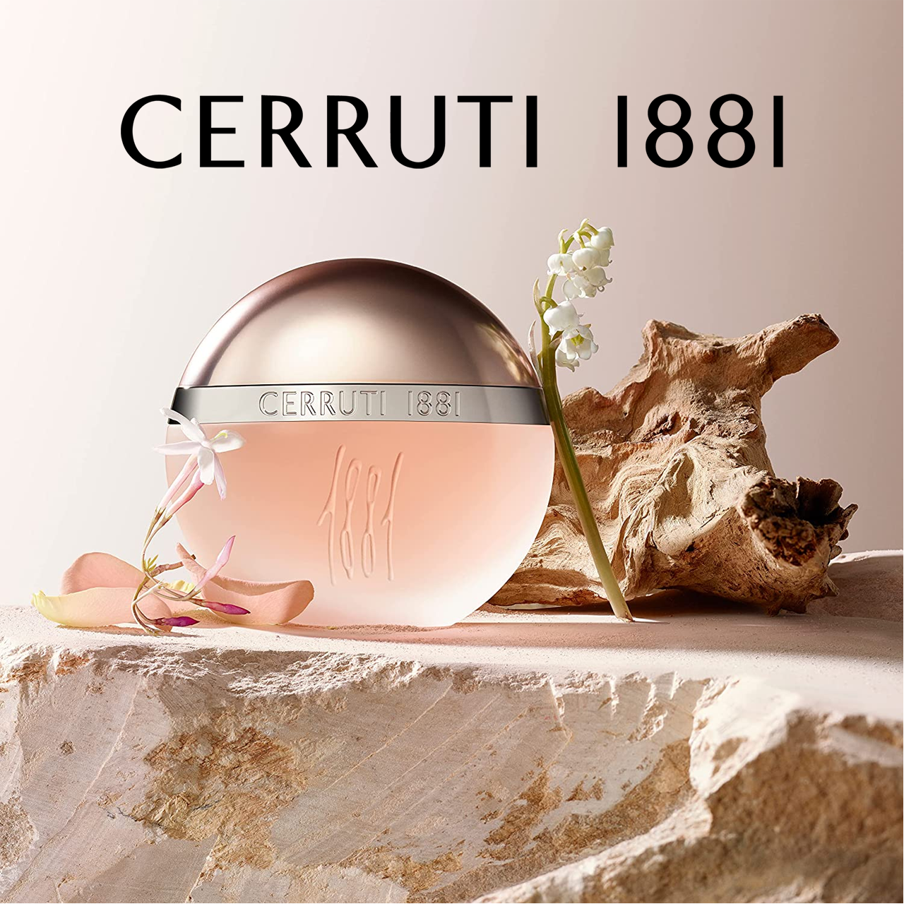cerruti-sqr-banner