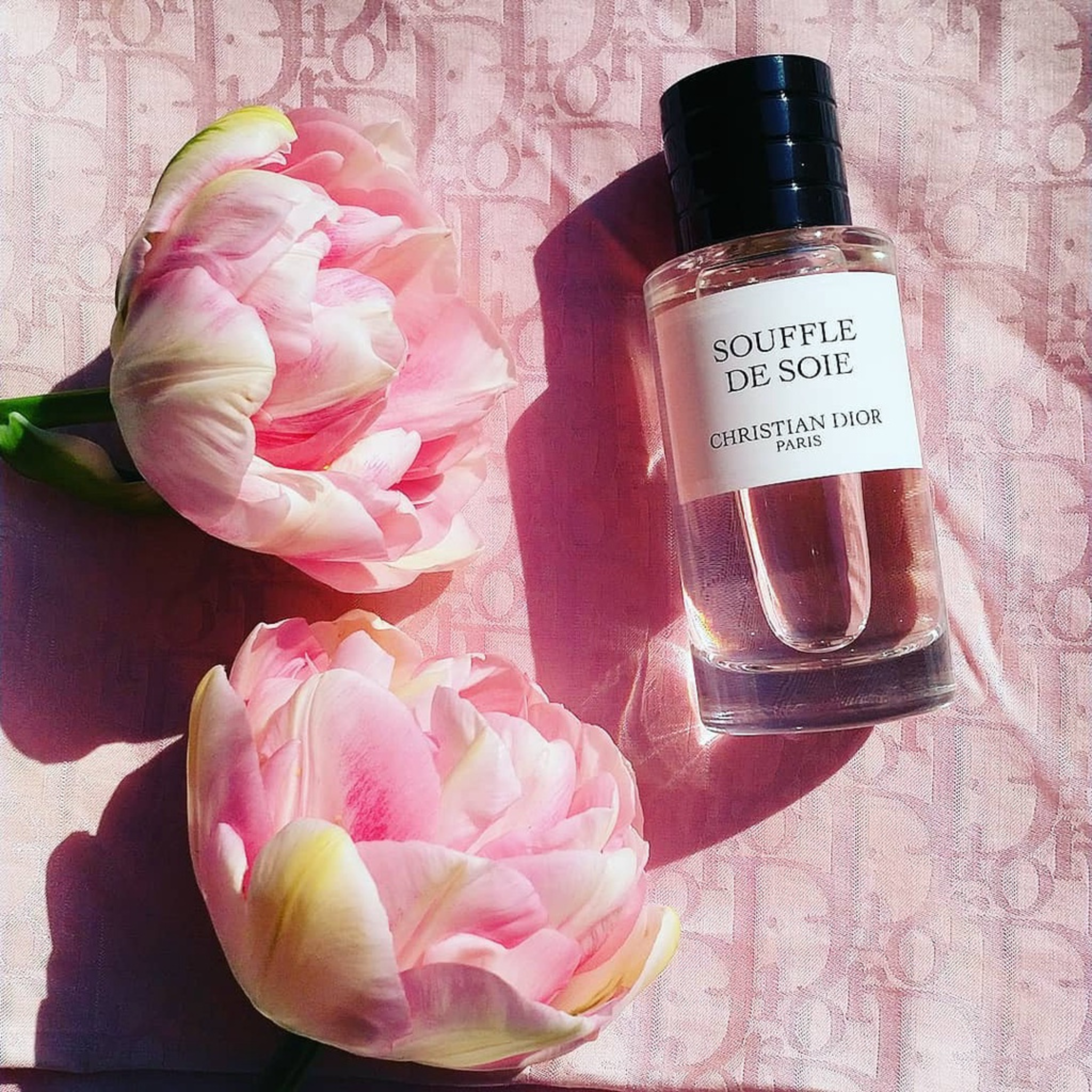 Dior Souffle De Soie Eau De Parfum