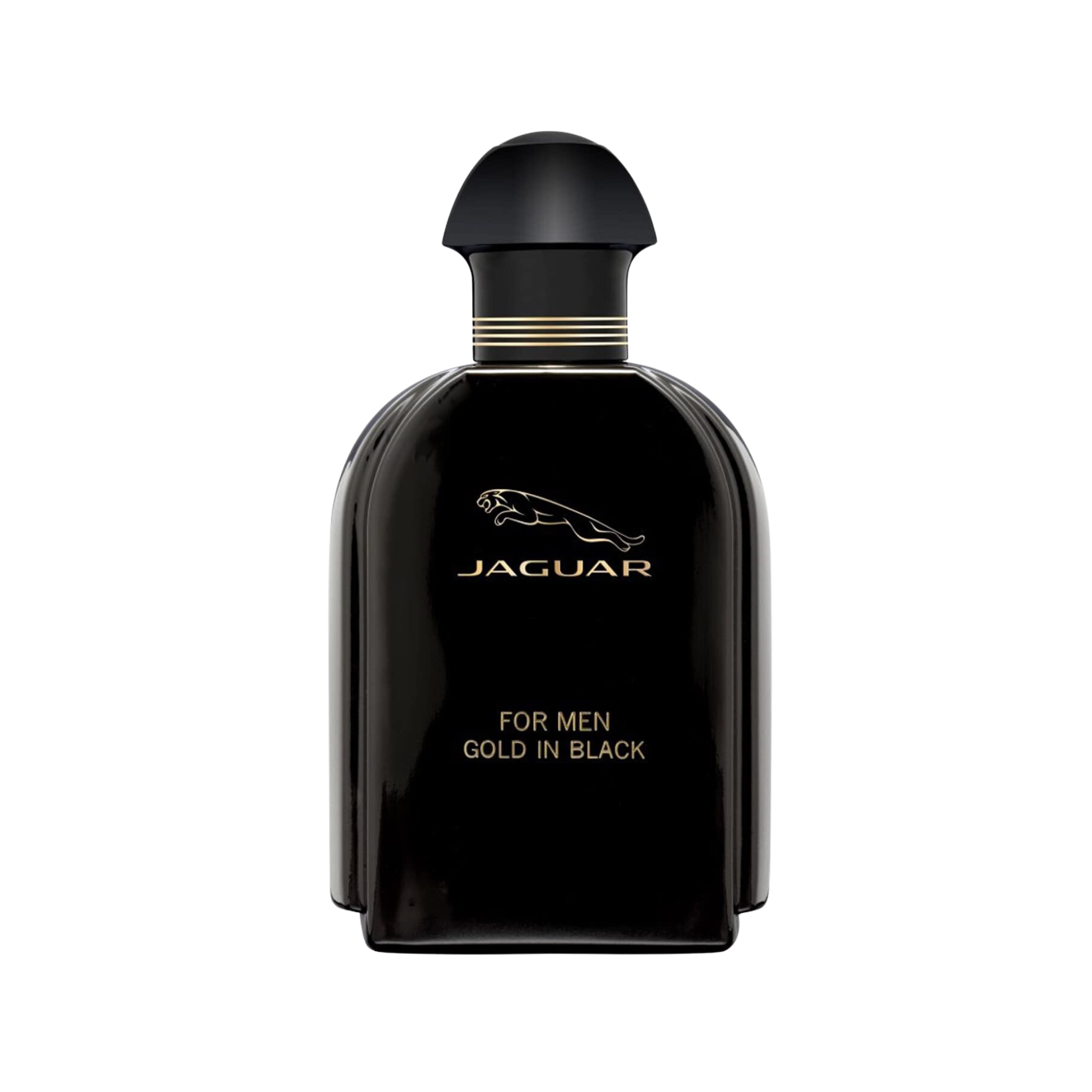 Jaguar For Men Gold In Black Eau De Toilette for Men